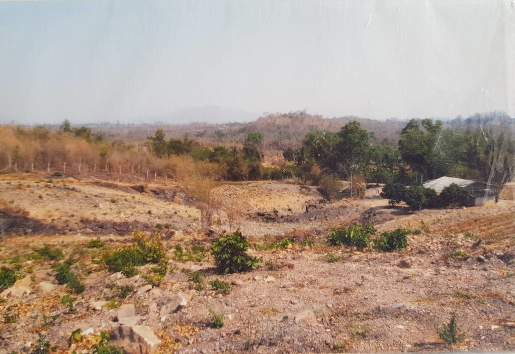 Year 2006